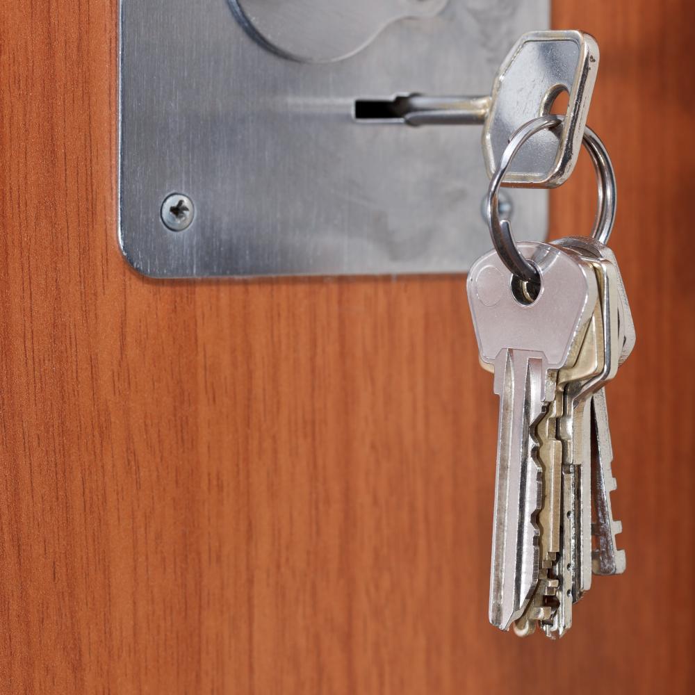 Why Choose a Professional Locksmith?
